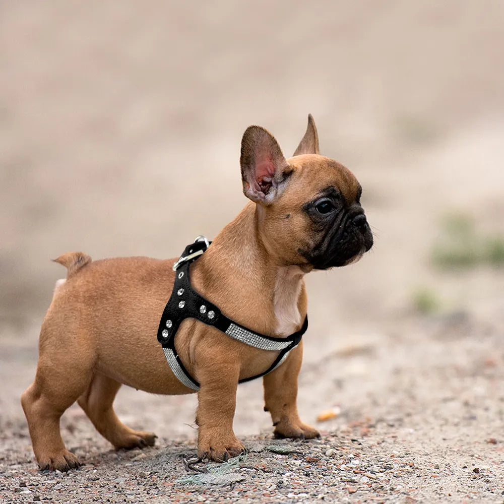 Soft Suede Leather Puppy Dog Harness Rhinestone Pet Cat Vest