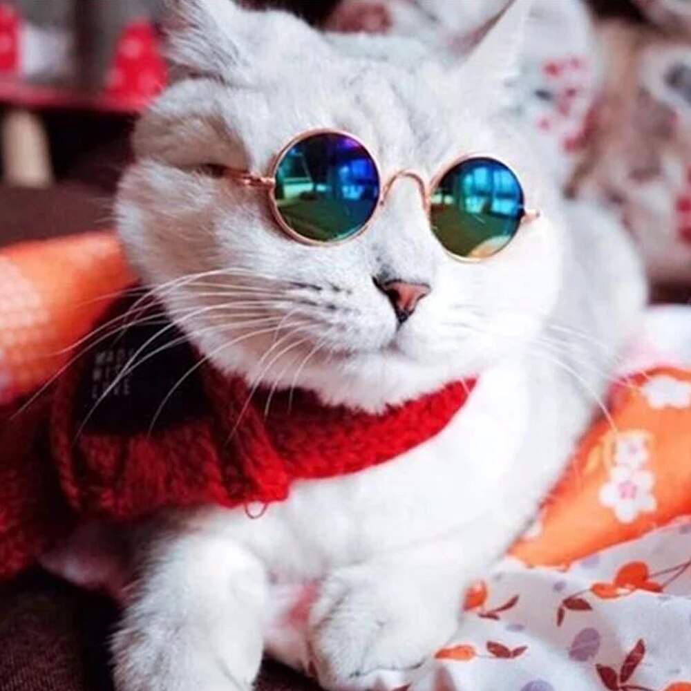Pet Sunglasses For Small Cat Dog Photos Props Pets Accessories