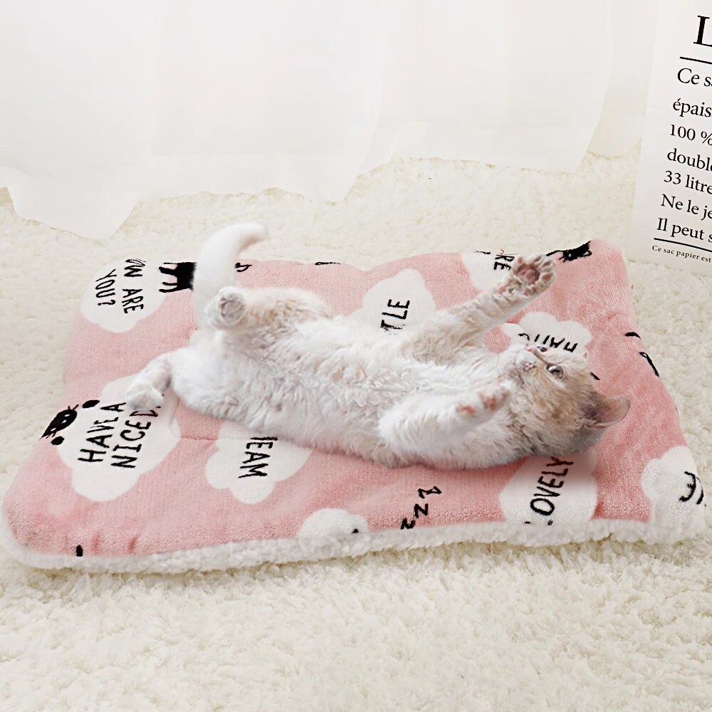 Winter Pet Dog Bed Mat Soft Fleece Puppycat Blanket Dog Mattress Beds