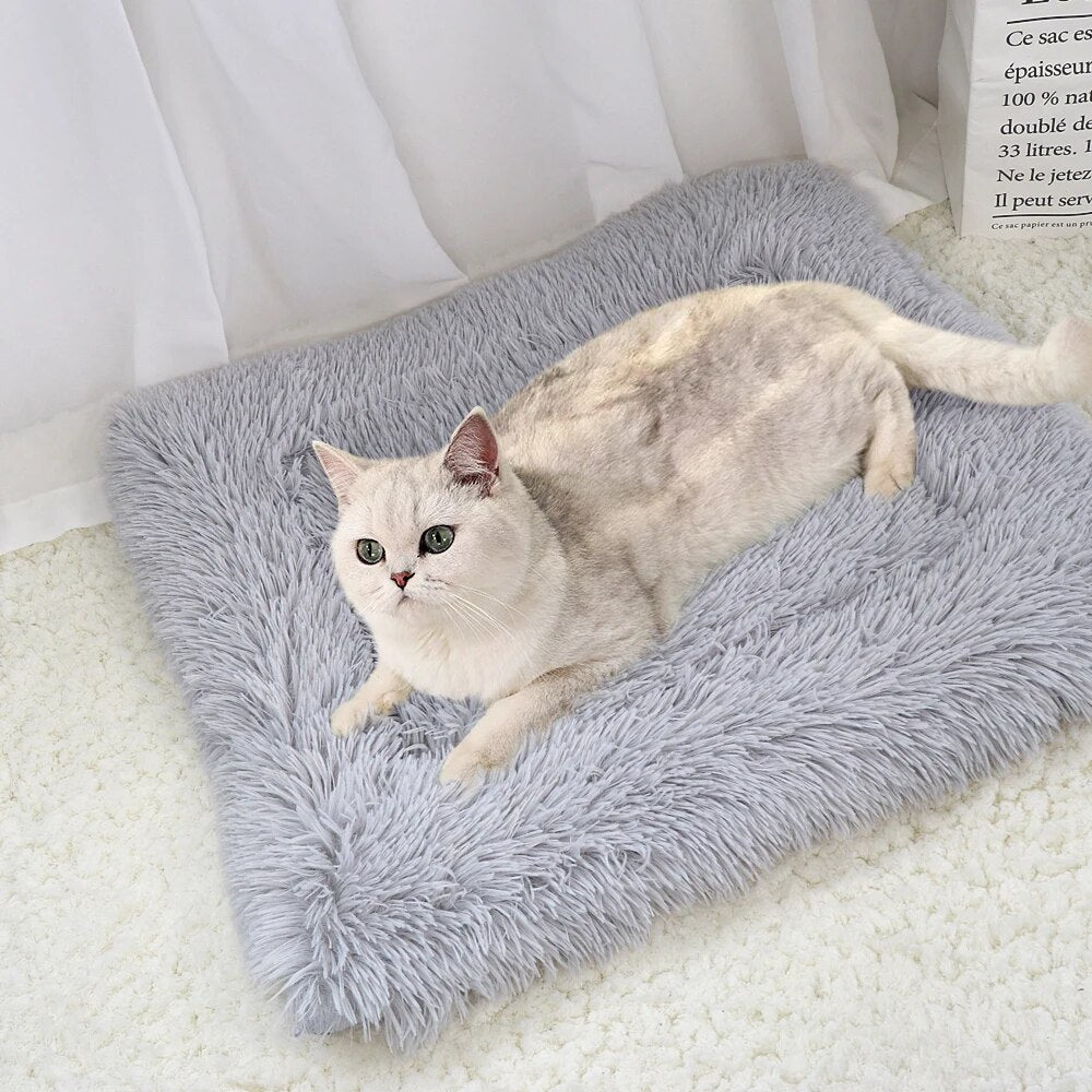 Warm Cat Bed House Pet Puppy Cat Sofa Beds Soft Nest Kennel
