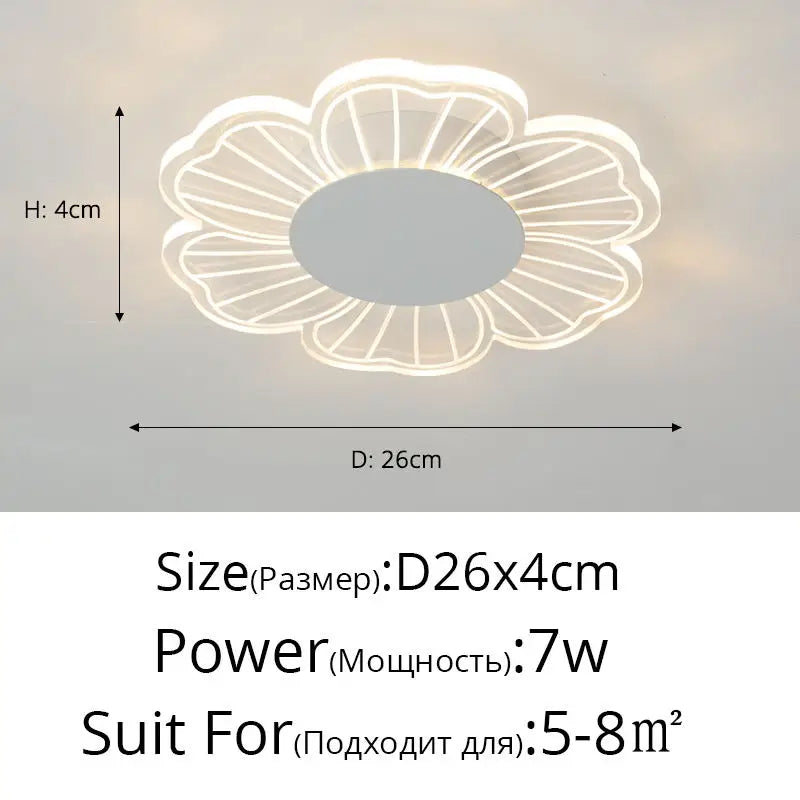 48070288965922|48070289162530