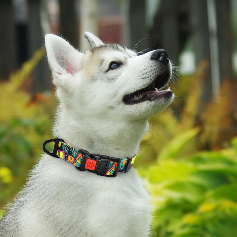 5 Colors Collar Dog Nylon Printed Pet Puppy Dog Collar