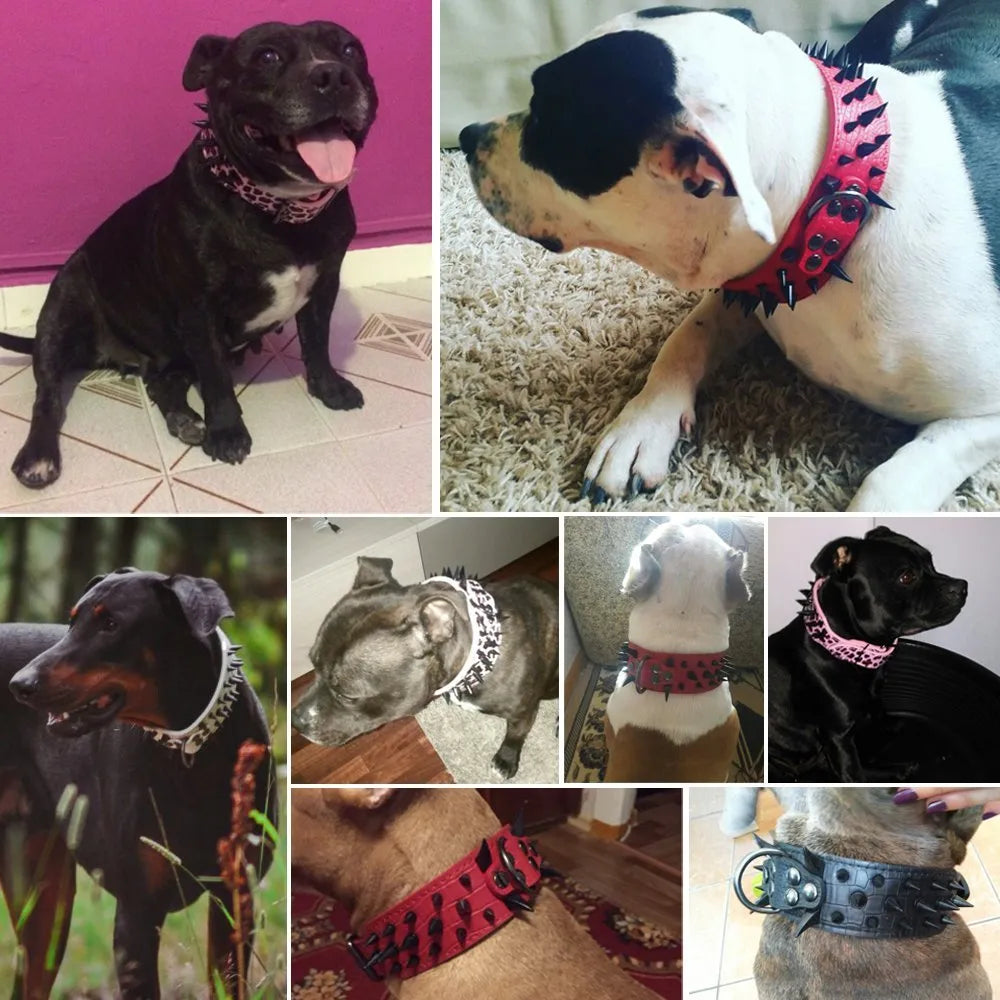 2" Wide Sharp Spiked Studded Leather Dog Collars Pitbull Bulldog Big Dog Collar