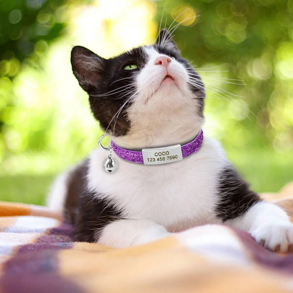 Personalized Quick Release Cat Collar Bling Puppy Kitten ID Tag Collars