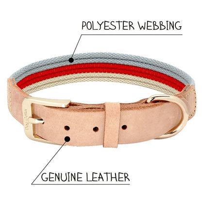 Soft Leather Dog Collar Polyester Fabric Webbing Pet Collar For Medium Large Dogs