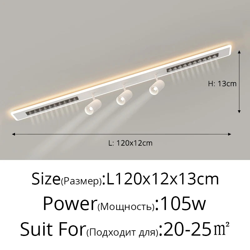 48100810064162