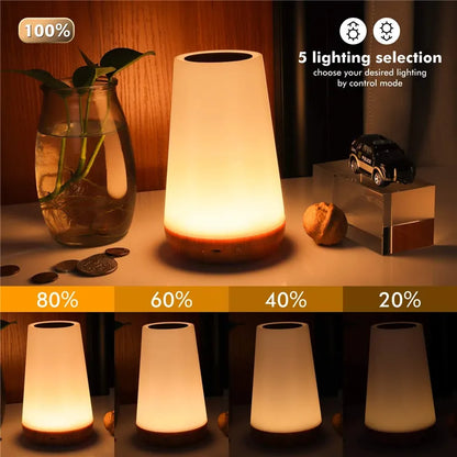 13 Color Changing Night Light RGB Remote Control Touch Dimmable Lamp