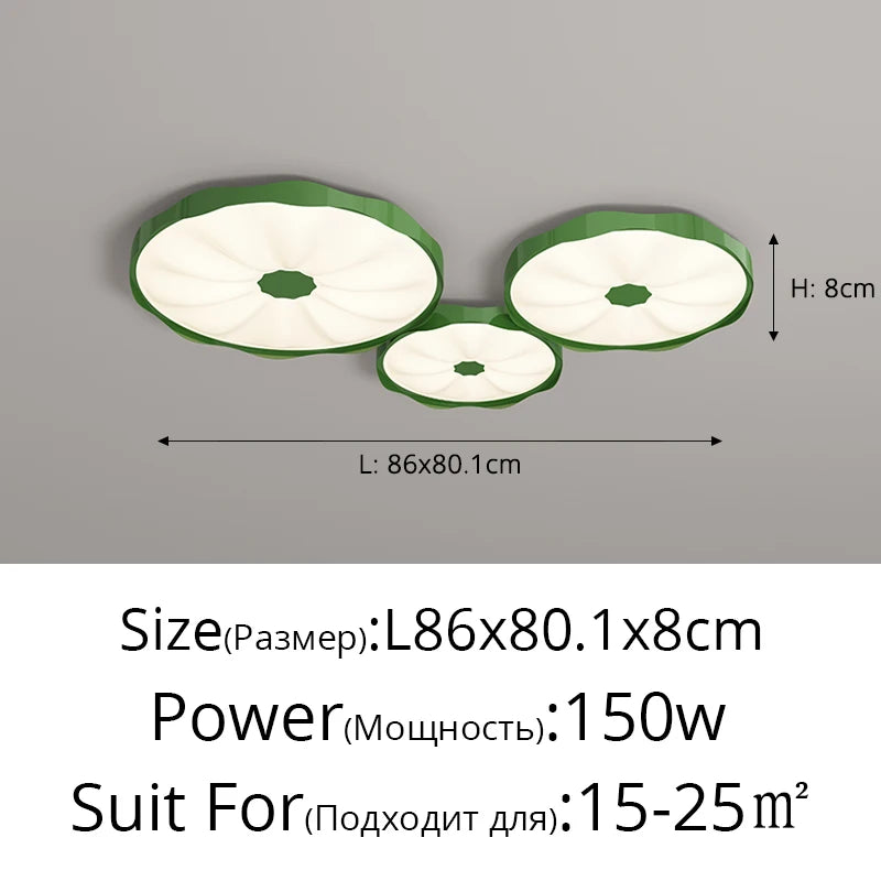 48101932040482|48101932466466