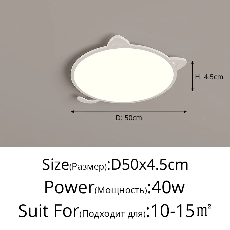 48070294569250|48070295191842