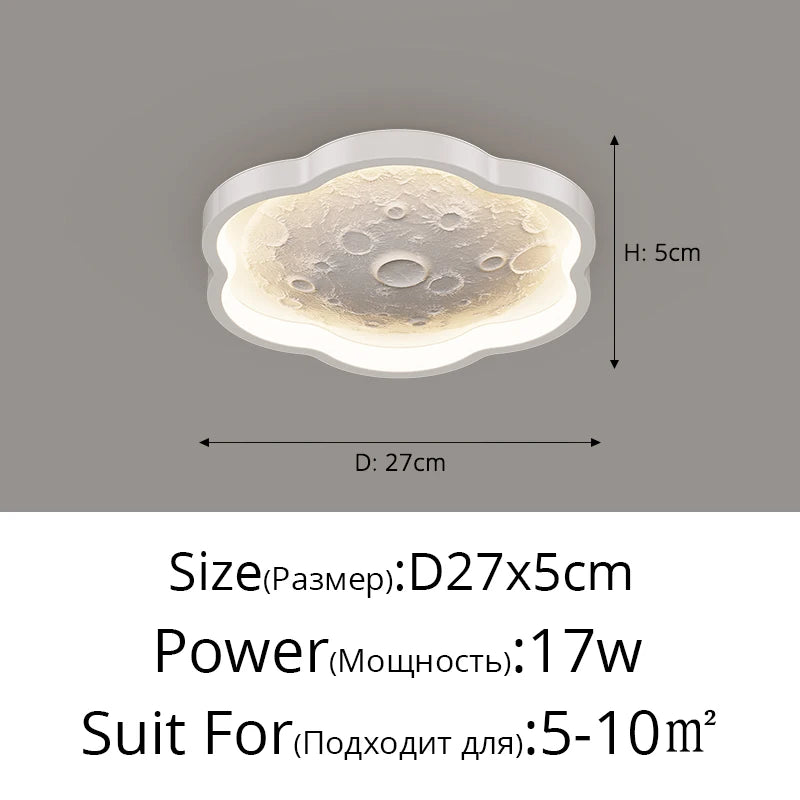 48045242482978